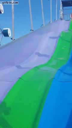 dog-enjoys-slide.gif