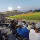 Guy catches foul ball while filming