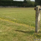 Kid on bike almost hits dog