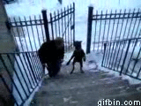 funny gifs