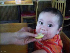 Baby Eats Lemon | Best Funny Gifs Updated Daily