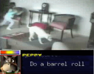 [Image: 1232905525_puppy%20does%20barrel%20roll.gif]