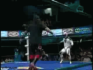 http://www.gifbin.com/bin/1236339488_midget_wrestler_doing_amazing_tricks.jpg.gif