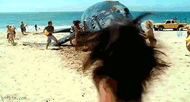 1238674230_save-the-whale.gif