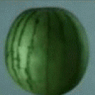 Slow motion watermelon shoot