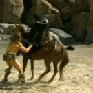 Conan punches horse