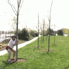 Guy humping tree