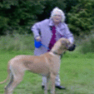 Grandma goes fetching