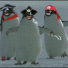 Pirate penguins