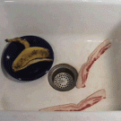 Bacon in a sink