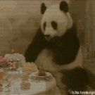 Panda surprise bill