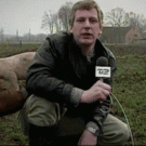 Pig vs. reporter