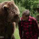 Man puts head inside grizzly bear's mouth