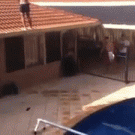 Guy backflips in pool off roof