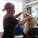 Razor hair-cutting technique