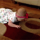 Dog shows baby how to crawl