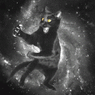 Ninja cat in space