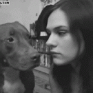 Dog vs. girl tongue war