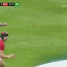 Simon Zebo amazing back-heel flick (Ireland vs. Wales)