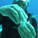 Cracking an egg underwater