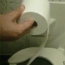 Toilet paper down the toilet trick on the airplane