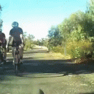 Cyclist meets kangaroo