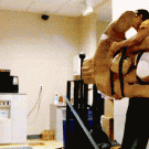 Jackass 3D - Bam Margera gets slapped