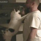 Cat drinks out of guy's mouth