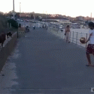 Man and dog juggling football