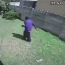 Small dog chases thief off property