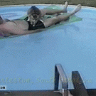 Cat jumps out of pool