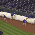 Guy gets steamrolled by tarp