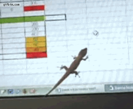 Lizard Vs. Mouse Cursor | Best Funny Gifs Updated Daily