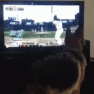 Dog almost breaks TV jumping after baseball