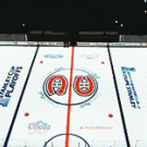 Hockey field projection
