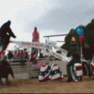 Jackass bullfighting