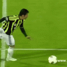 Didier Zokora kicks Emre in the balls