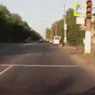 Pedestrian dog crosses road on crosswalk