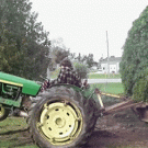 Tree beats tractor driver