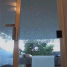 Spiderkitten climbs on screen door opens it and gets in