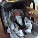 Cat meets baby first time