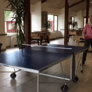 Flip ping pong shot