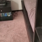 Dog popping out from under bed