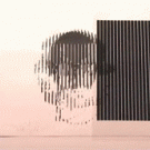 Optical illusion - rotating head