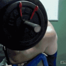 Biceps workout