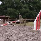 Horse jumping fail