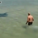 Stingray attacks man after being provoked