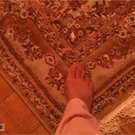 Kitten is confused by moving carpet
