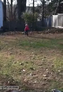 little girl versus a leaf pile