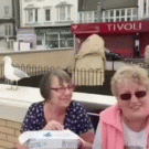 Seagull steals fish from old lady